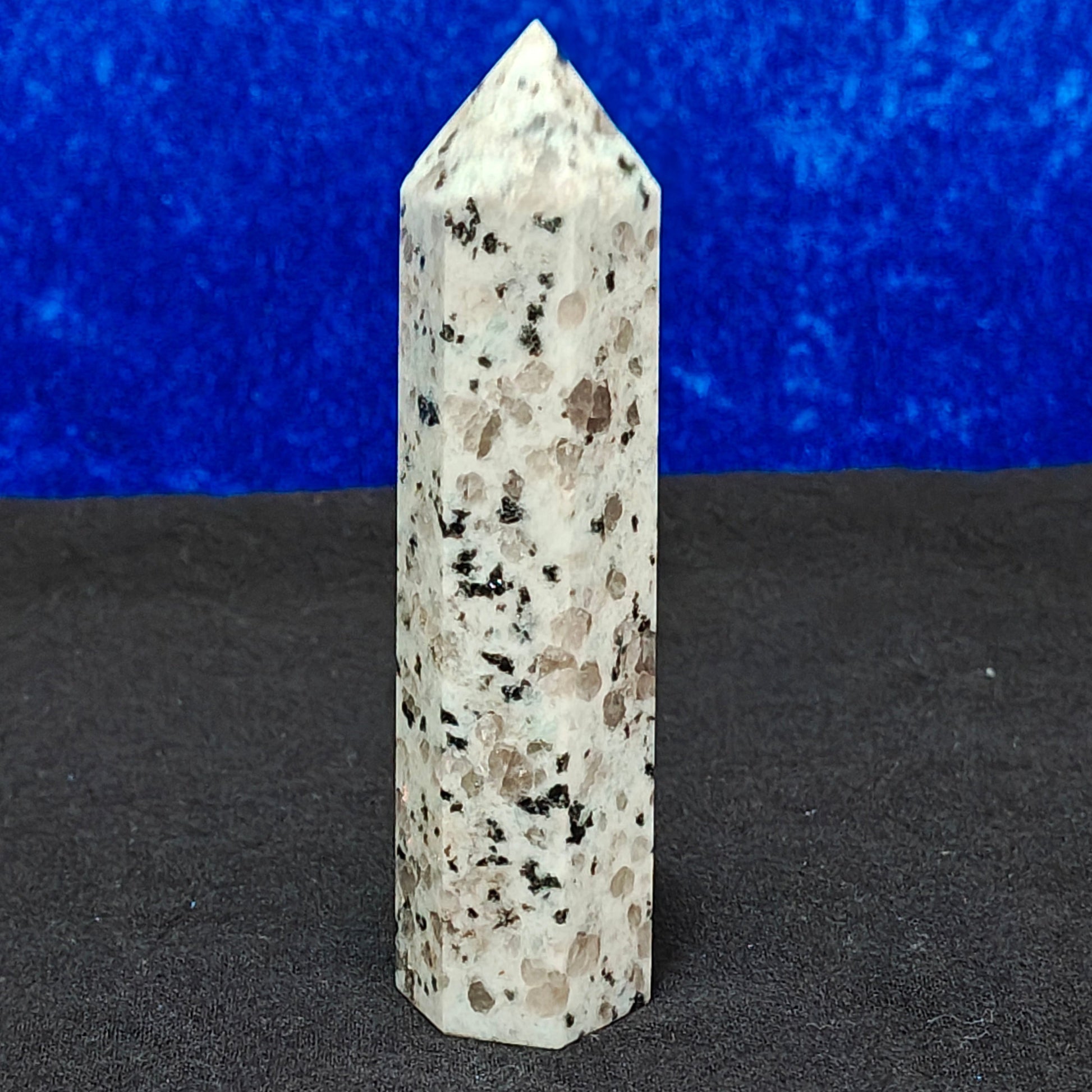 Kiwi Jasper D2