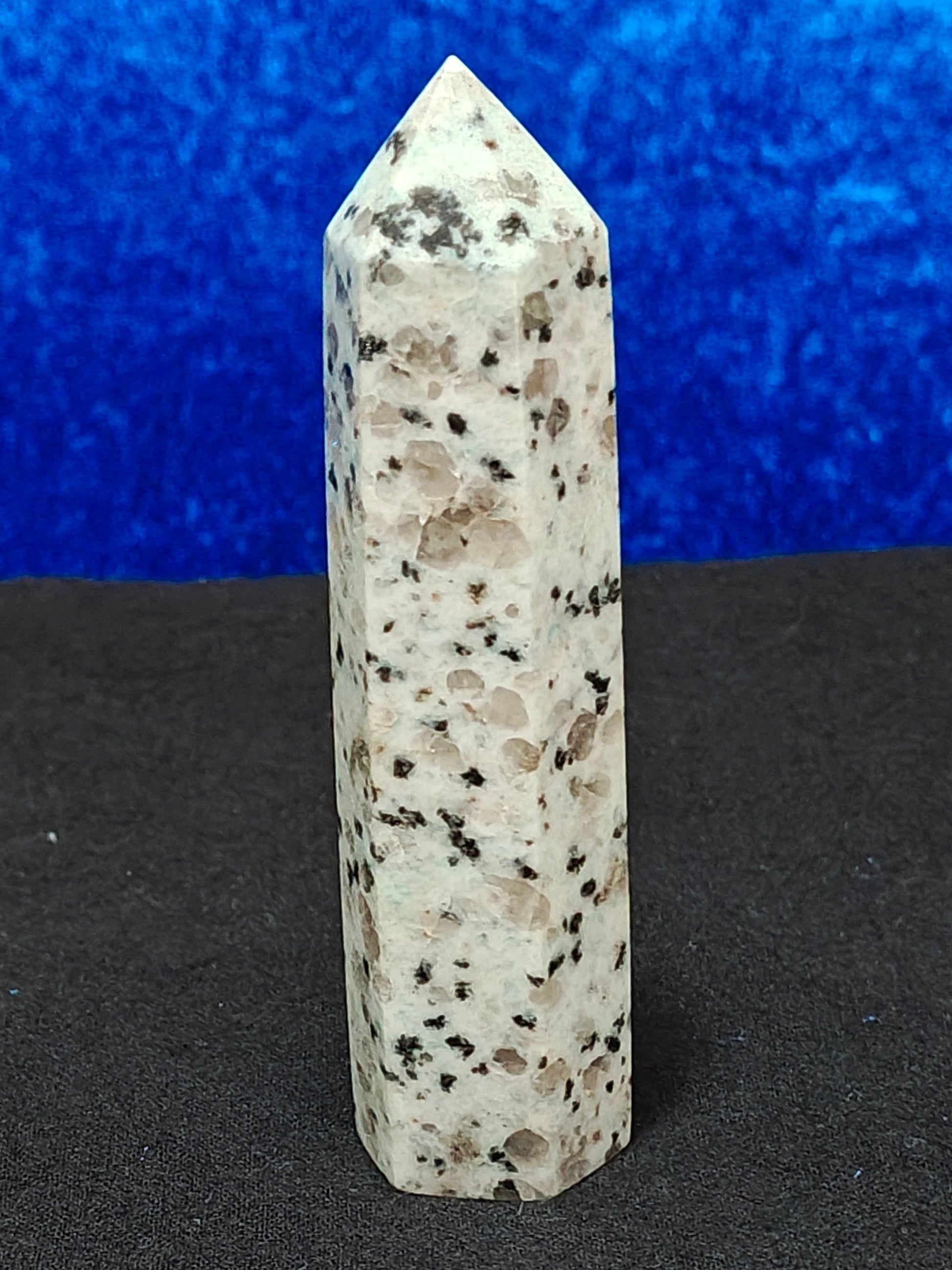 Kiwi Jasper D1