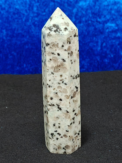 Kiwi Jasper D1