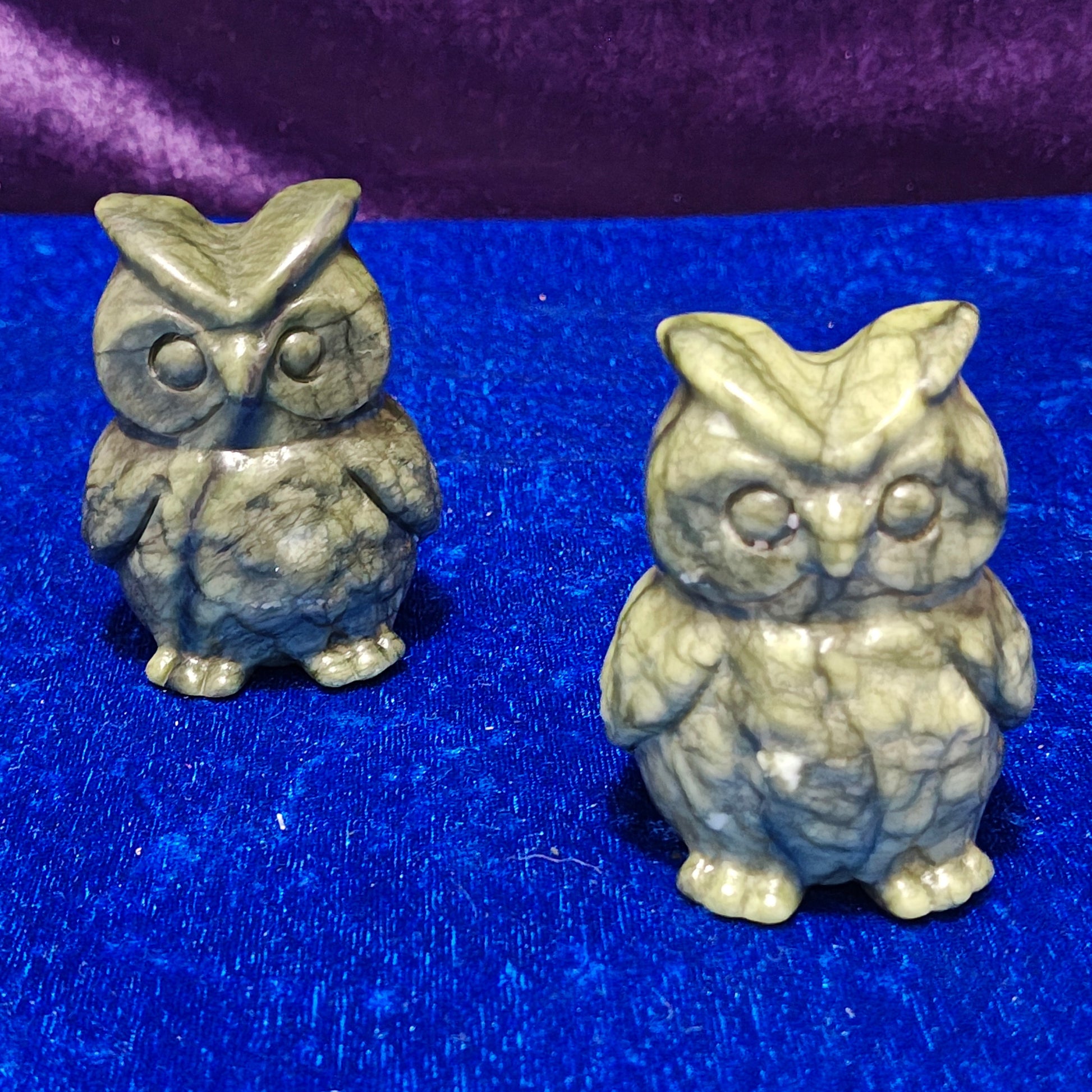 Serpentine Olws