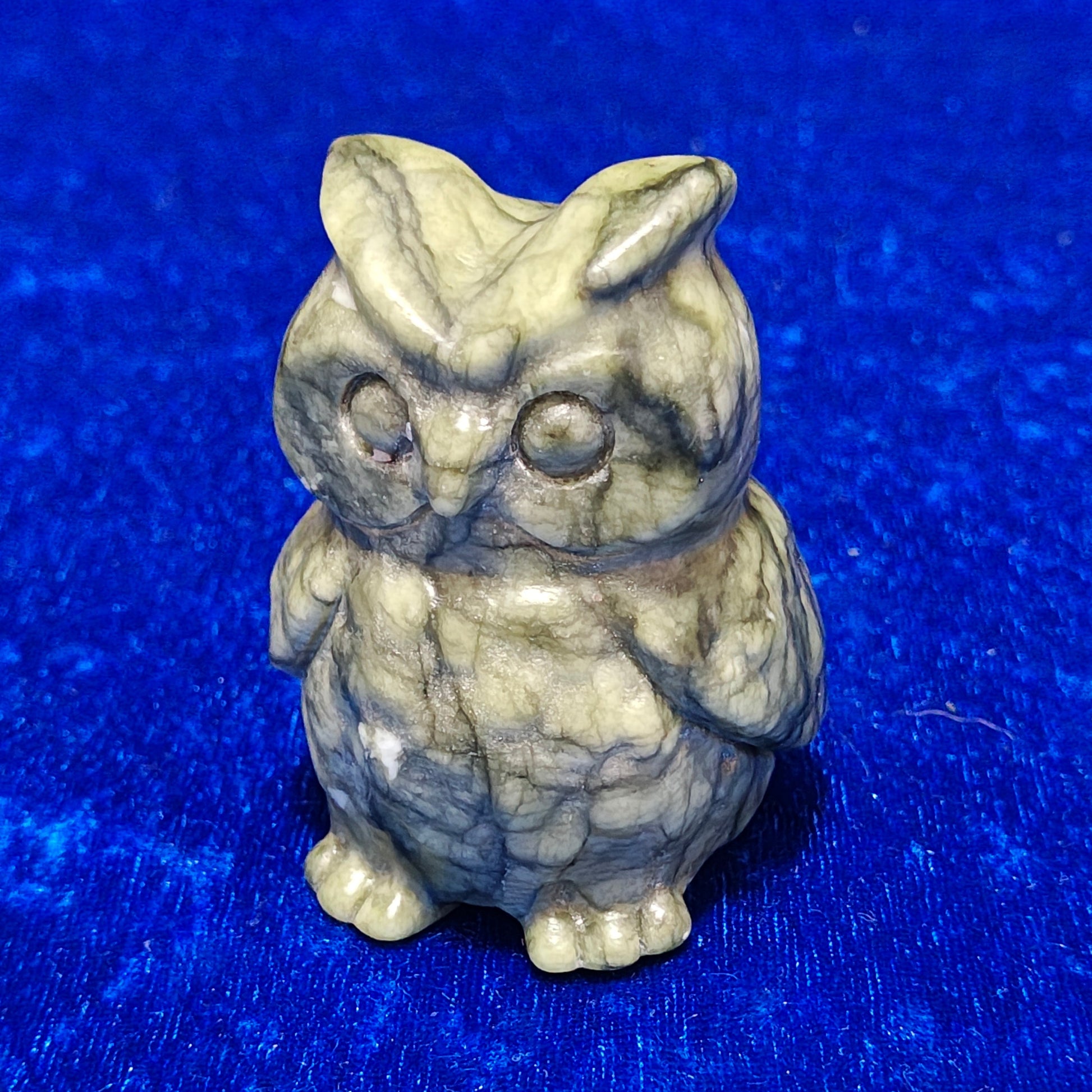 Owl 1