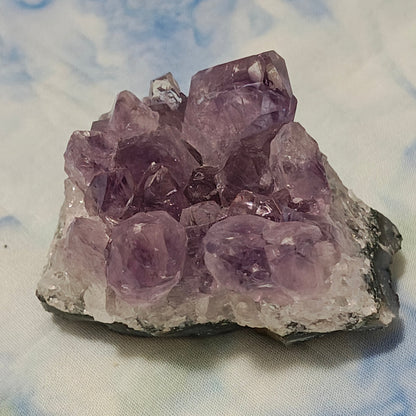 AM4