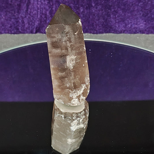 SM1