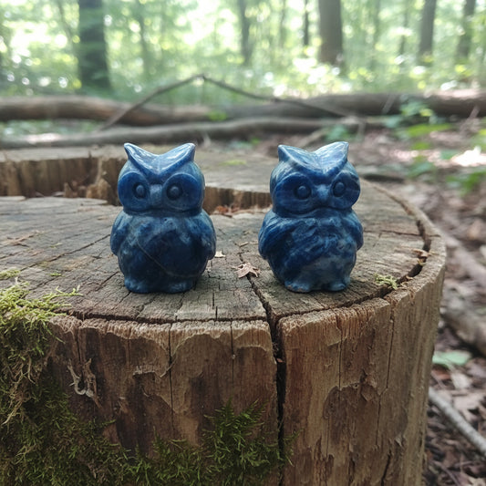 Two blue owl figurines on a wooden surface with a dark background