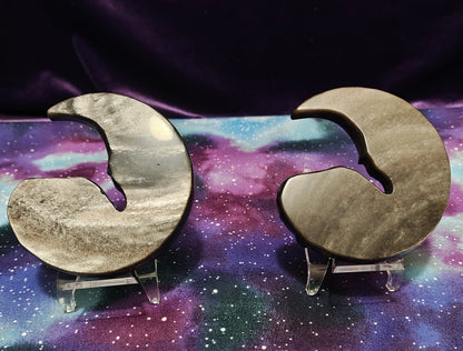 Moon Elephants back