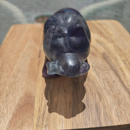 Bear Front 