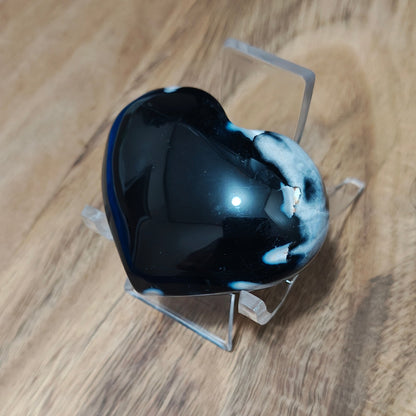OA 5 Back