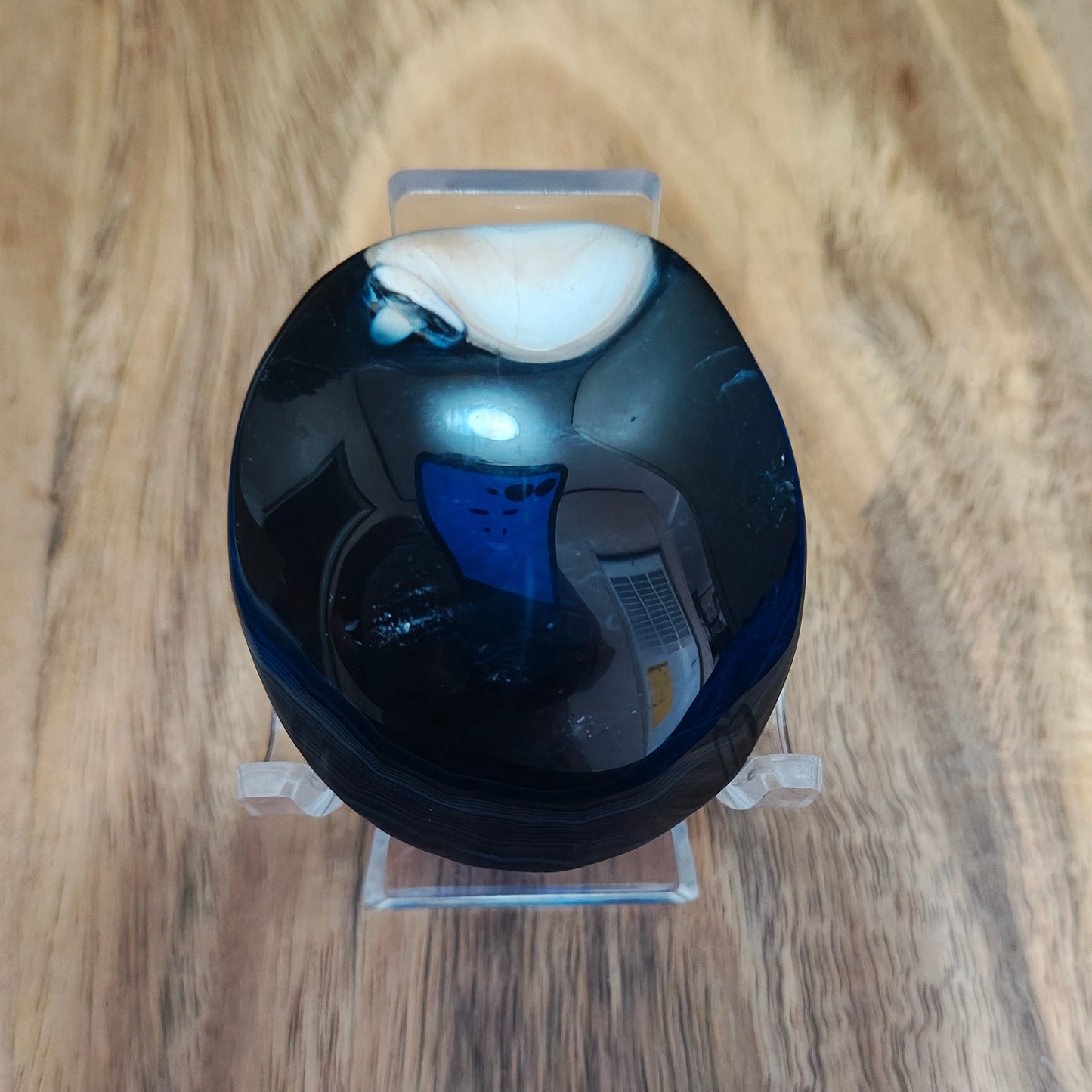 OA 7 Back