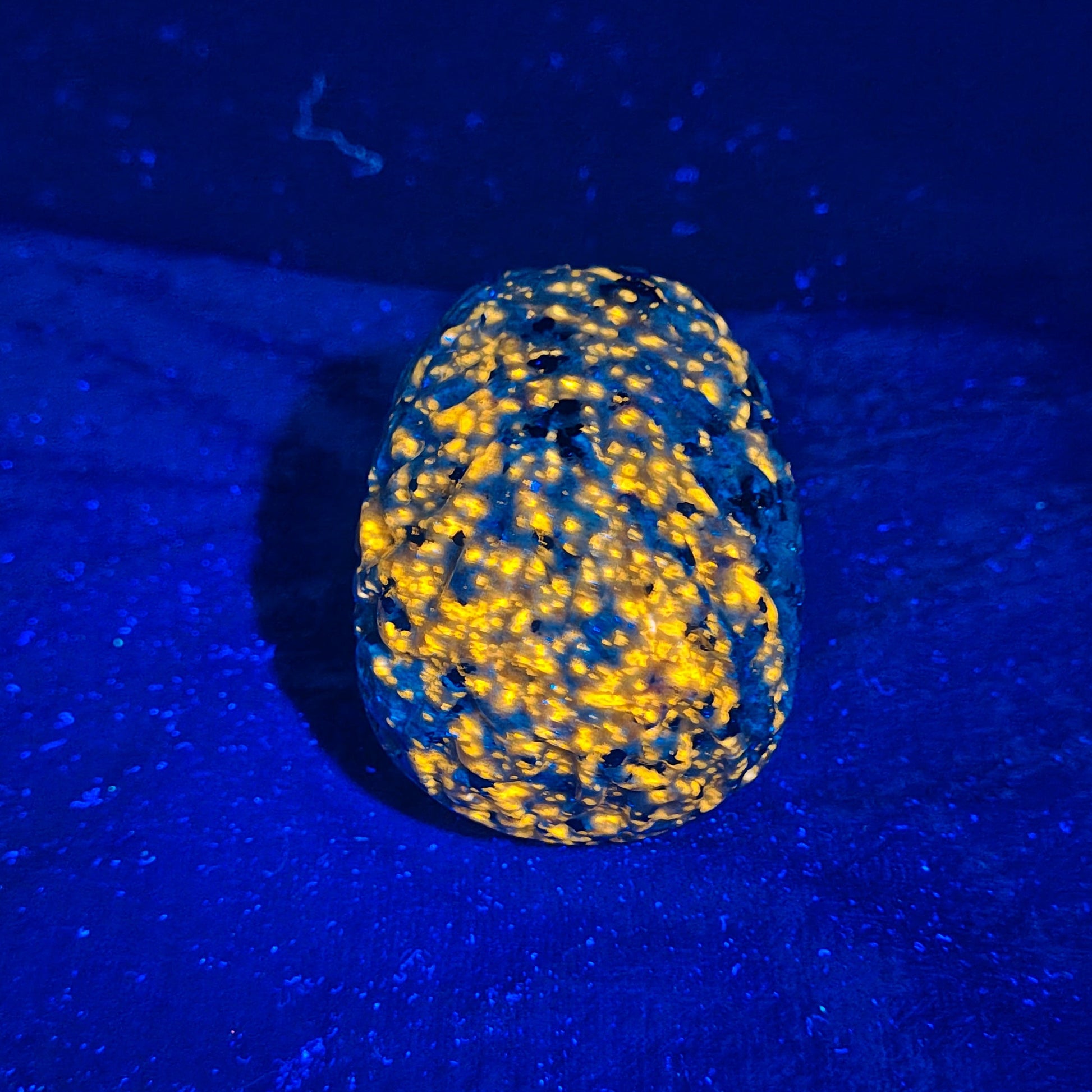 YS 1 Back UV