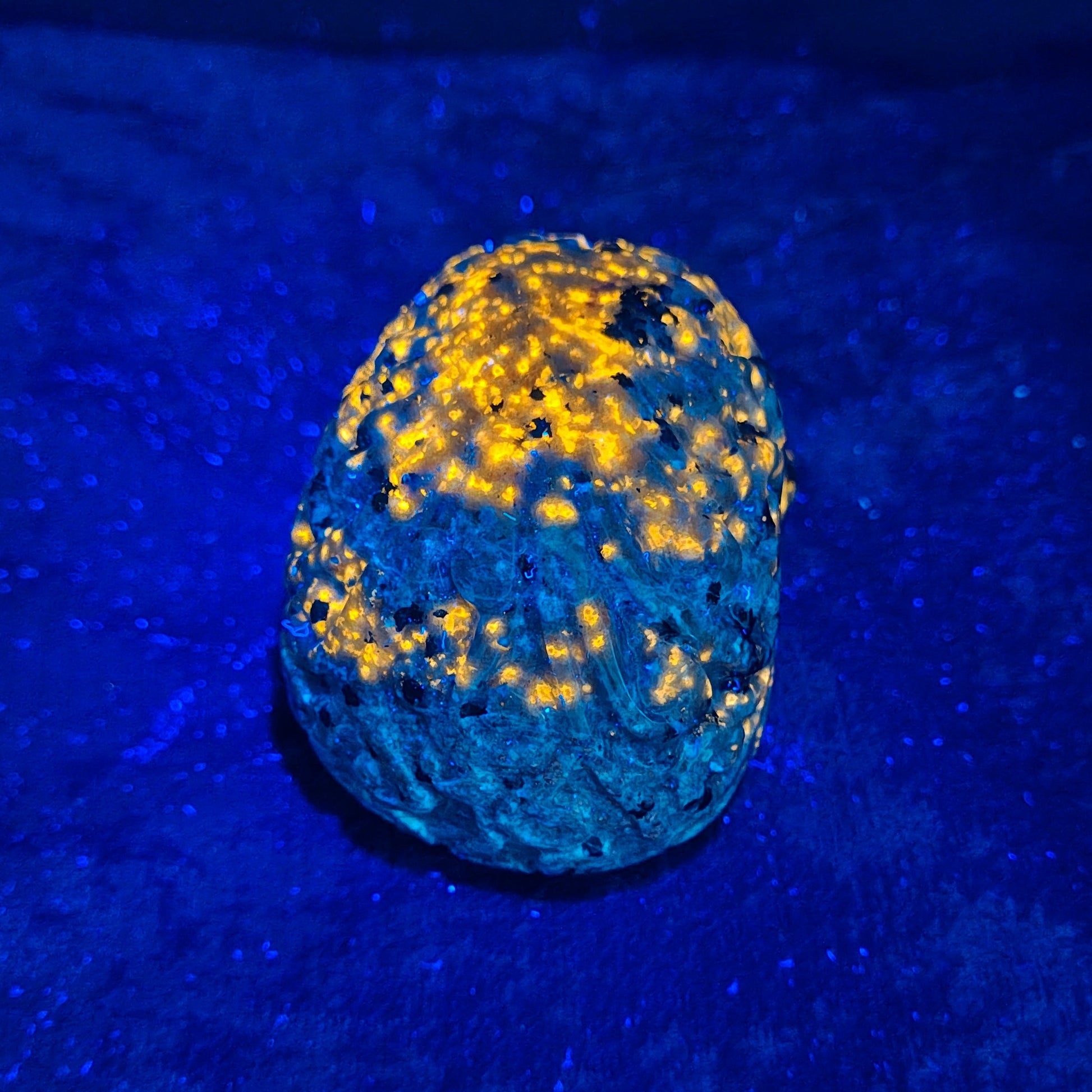 YS 2 Back UV