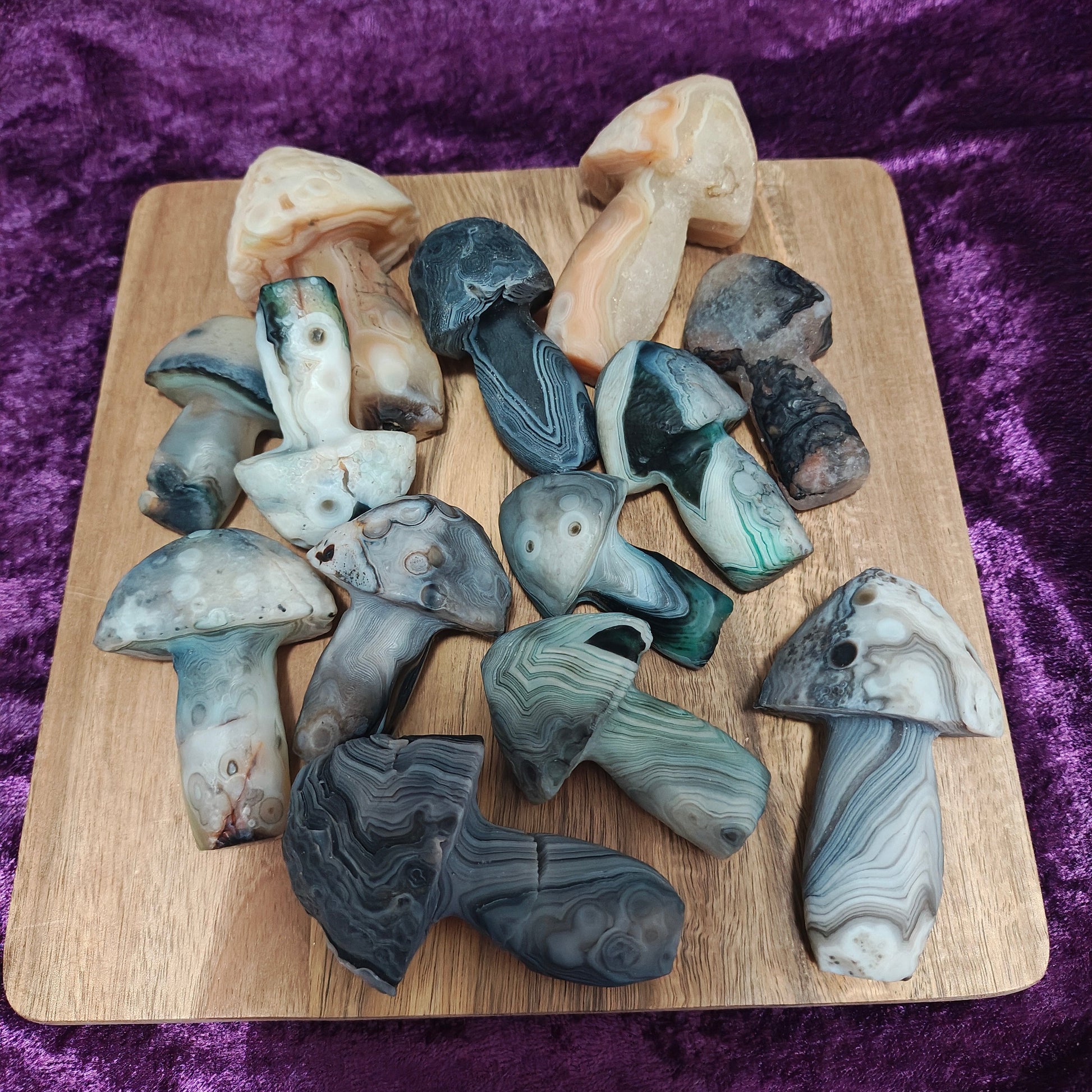 All Gobi Agate Mushrooms