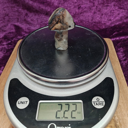 Gobi Agate #2 $29.00 2.22oz 