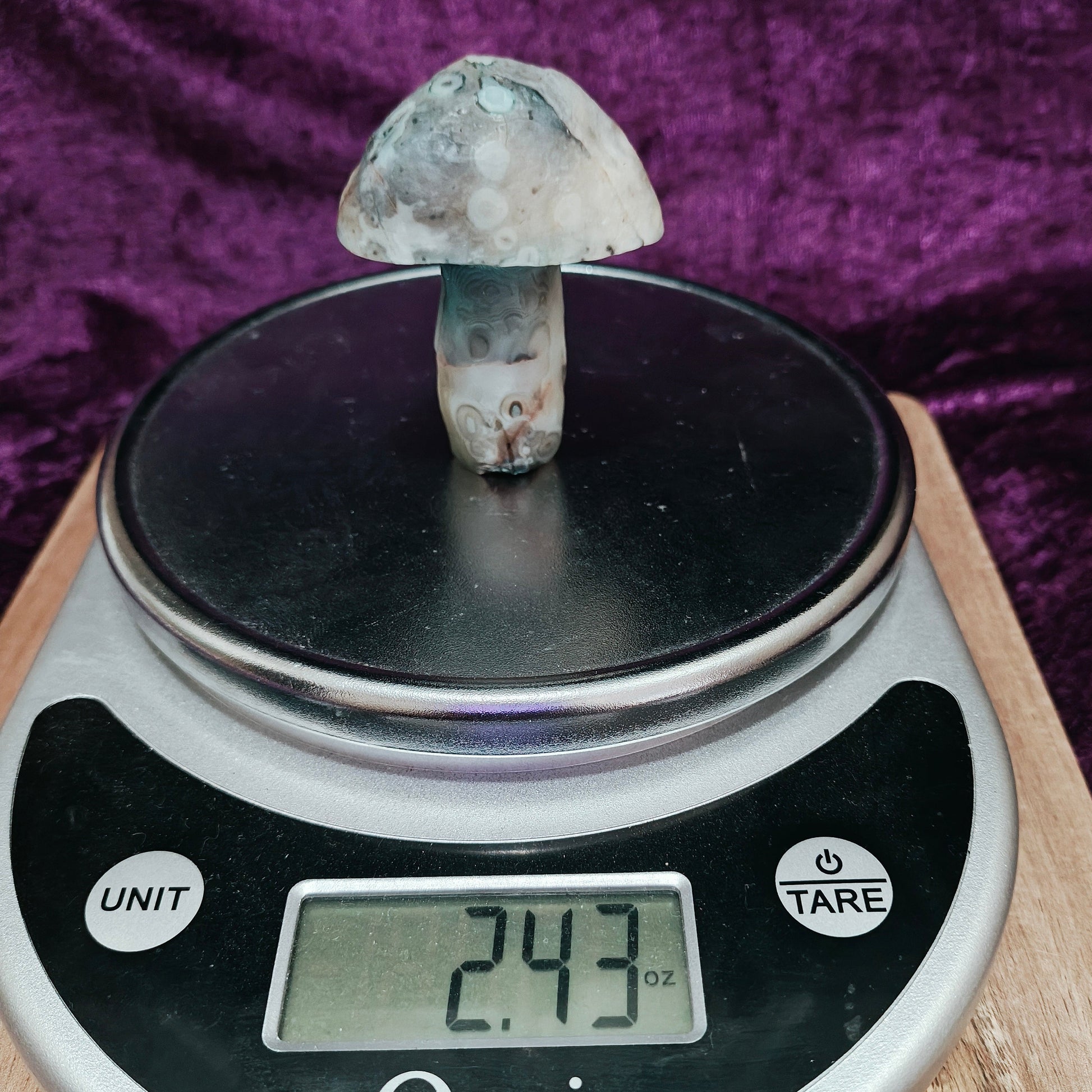 Gobi Agate #7 $31.60 2.43oz