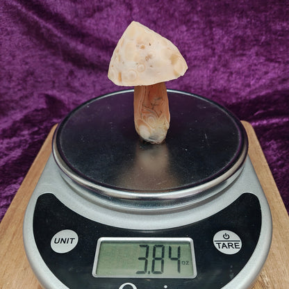 Gobi Agate #10 $50.00 3.84oz