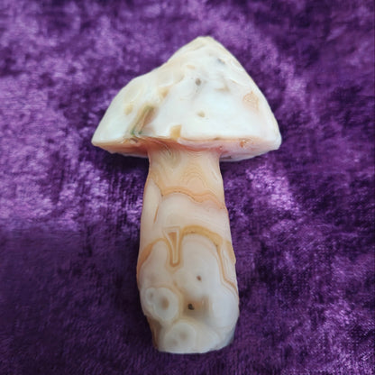 Gobi Agate #10 $50.00 3.84oz