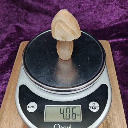 Gobi Agate #13 $52.80 4.06oz