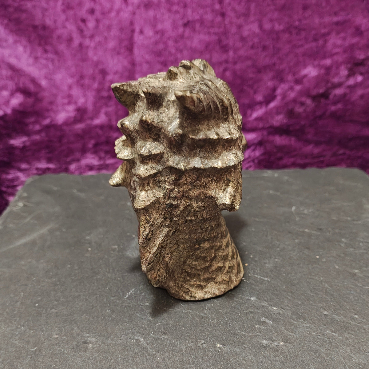 Pyrite Dragon Head Back